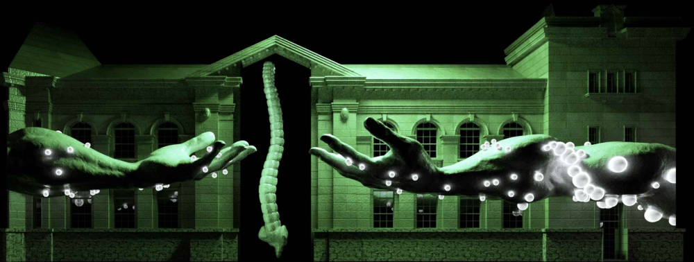 Cordyceps (killing fungi)